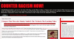 Desktop Screenshot of counter-racismnow.com